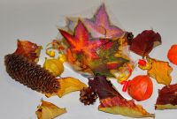 fall2010_001